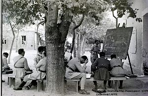 TUNISIE 1939  66 EME  REGIMENT D ARTILLERIE (36)